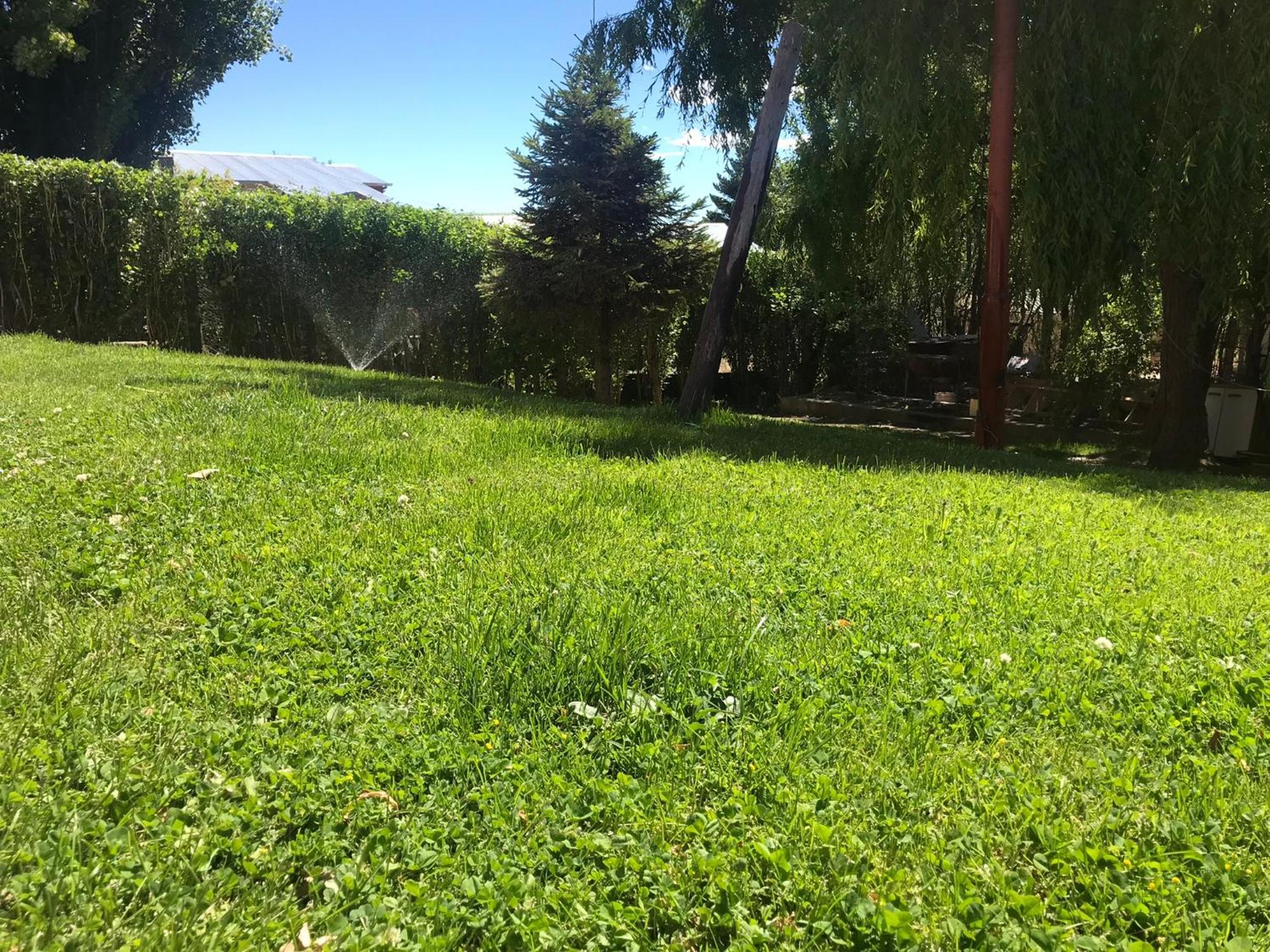 Amancay Aparts Apartment El Calafate Bagian luar foto